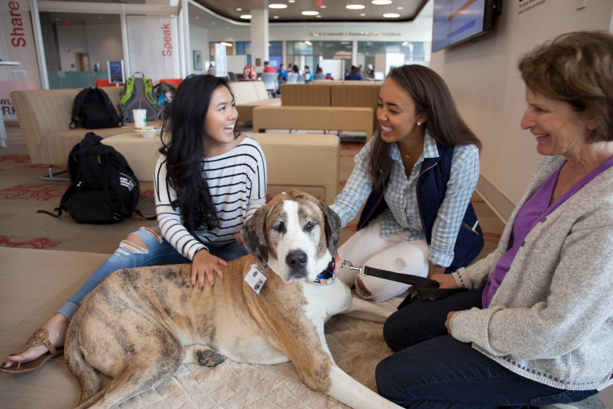 Two students petting a therapy dog and the owner of the therapy dog sitting on the ground